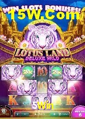 Apostas de Tênis 5Win